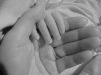 Fertilité de la femme: Il faut prendre soin des ovocytes