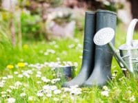 faire appel à une entreprise paysage pour l&rsquo;entretien de votre jardin