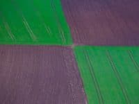 La différence entre brownfield migration et greenfield migration ?