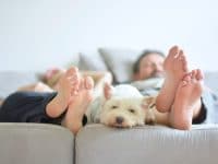 Quelle épaisseur pour isoler vos murs ?