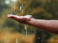 La filtration d&rsquo;eau de pluie pour des canalisations en bonne santé