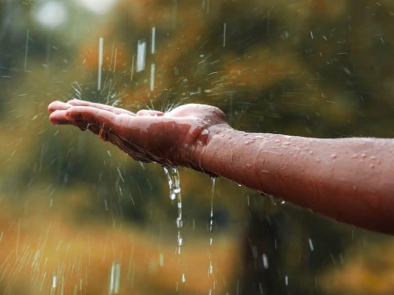 filtration eau de pluie